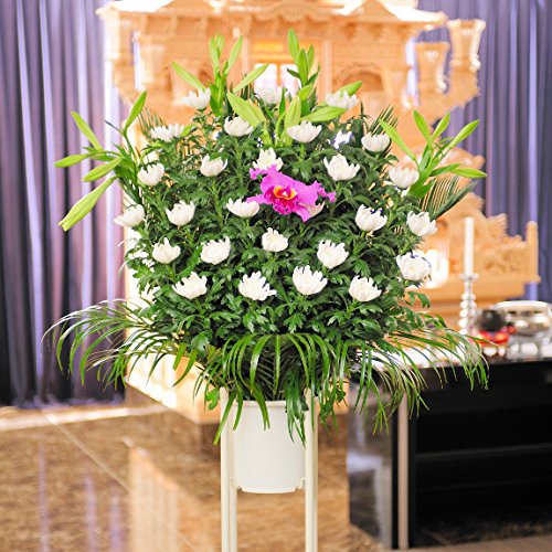 【新製品】冬の季節を楽しむ捨てない水引『水引オーナメント』新発売｜株式会社マルアイのプレスリリース