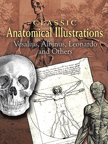 classic anatomical illustrations dover fine art history of art