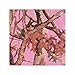 NEXT Camo Pink Lunch Napkins (16)