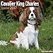 Cavalier King Charles Spaniel Calendar 2017 - Dog Breed Calendars - 2016 - 2017 wall calendars - 16 Month by Avonside