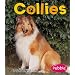 Collies (Dogs (Pebble))