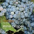 Wine Calendars