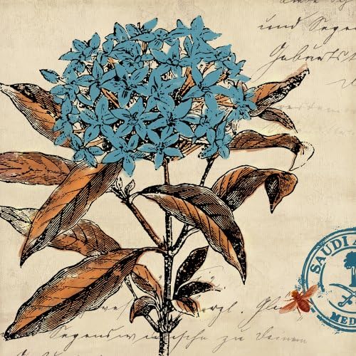 Yosemite Home Decor YF6577A Blooming Blue Still Life Linen Print Artwork