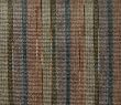 Nevada Native Stripe 5 Yard Whole Bolt Fabric