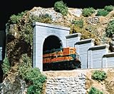Tunnel Portal