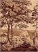 Arcadia (Sepia) II by Unknown. Size 28.00 inches width by 36.00 inches height. High Quality Art Poster Print
