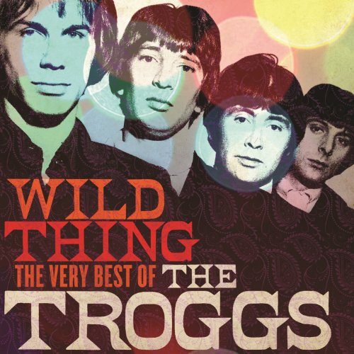 TROGGS - When a Man Loves a Woman Hits of the 60
