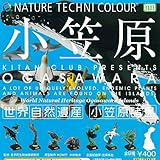 ネイチャーテクニカラー 小笠原 シークレット入り 全8種セット 奇譚クラブ ガチャポン