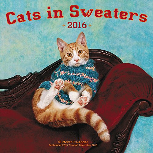 Cats in Sweaters 2016 Mini: 16-Month Calendar September 2015 through December 2016