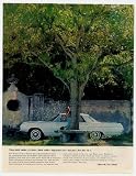 1964 Buick LeSabre Print Ad (5363)