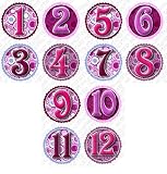 TARGETS Baby Month Onesie Stickers Baby Shower Gift Photo Shower Stickers, baby shower gift by OnesieStickers