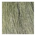 Field Grass, Medium Green
