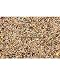 Abba 3800 Ultimate Carduelan Seed 30 Lb