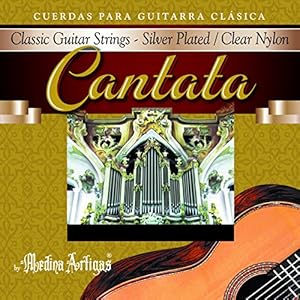Medina Artigas クラッシックギター弦 620