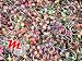 MIXED LOT 100 14g Circular Barbell Belly Body Jewelry