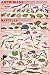 (24x36) Amphibians and Reptiles Educational Science Chart Poster
