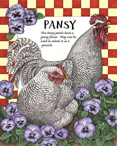 Chicken, Nasturtium, Kitchen Print, Drawing by Wendy Hogue Berry