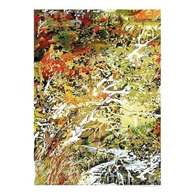 Negative Notions Scenic Photographic Poster Print by Basil Filippone, 16x20