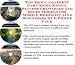 The Down and Dirty Earn More Money, Success Principles and Sales Models for Mobile Homes On-line Businesses 3 CD Power Pack