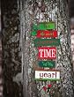 It's Christmas Time Most Wonderful Time of the Year Wall D?cor