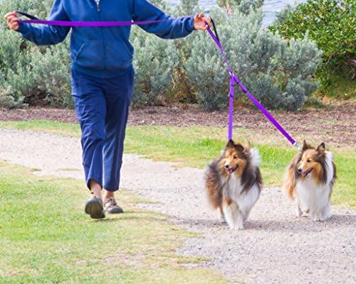 2 dog 2 handle Leash (purple) Large Dog 8ft long