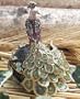 ENAMELED JEWELED KEEPSAKES PEACOCK KEEPSAKE BOX