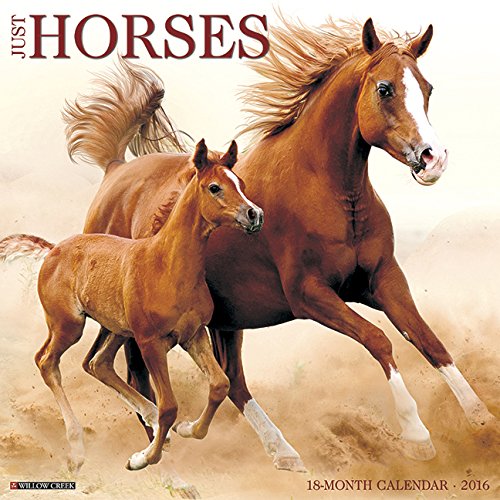 2016 Just Horses Wall Calendar