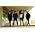 Miniaturansicht von Dirty Pretty Things