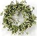 Spring Berry Wreath, 16 , GREEN