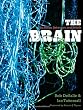 The Brain: Big Bangs, Behaviors, and Beliefs