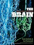 The Brain: Big Bangs, Behaviors, and...