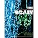 The Brain: Big Bangs, Behaviors, and Beliefs