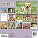 Golden Retrievers 2017 Calendar: Includes Downloadable Wallpaper