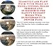 Search : Massive Cash Flow Pack with Make An Extra Income, Sales Models and eCommerce for Safety Deposit Boxes Web Businesses 3 CD Power Pack