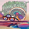 Brain Cycles