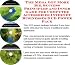 The Mega Get More Biz, Success Principles and Inner Game for Computer Accessories Internet Businesses 3 CD Power Pack