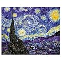 Starry Night Poster - 24x32"