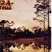 Starlite Walker