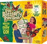 Insect Lore Live Butterfly Pavilion