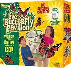 Insect Lore Live Butterfly Pavilion