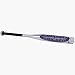 Sporting Goods : 34" 26OZ SOFTBALL BAT (Louisville Slugger SB87GS-34)