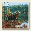 AbsorbaStone Coaster set~ Moose ~4 Tile Drink Coasters ~ code 560