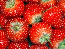 STRAWBERRY - TEMPTATION SEEDS - FRUIT GARDEN
