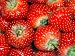 STRAWBERRY - TEMPTATION SEEDS - FRUIT GARDEN Image of STRAWBERRY - TEMPTATION SEEDS - FRUIT GARDEN