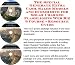 Book The Special Generate Extra Cash, Sales Models and eCommerce for Solar Charged Flashlights Web Biz 3 Course + Resource Guide
