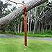 Tree Swing Hanging Strap - Heavy Duty, Water Resistant Polyester Strap + Carabiner - 5ft Long & 2'' Thick - 1200lb+ Weight Capacity - Weather Resistant - Weather Proof- Infographic Instructions.