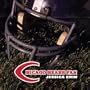 Chicago Bears Fan