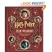 Harry Potter Film Wizardry
