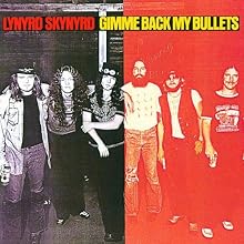Gimme Back My Bullets