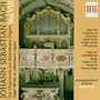 Bach: Organ Works on Silbermann Organs, Vol. 8
